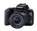 دوربین عکاسی دیجیتال کانن  مدل EOS 250D Kit EF-S 18-55 mm f/4-5.6 IS STM